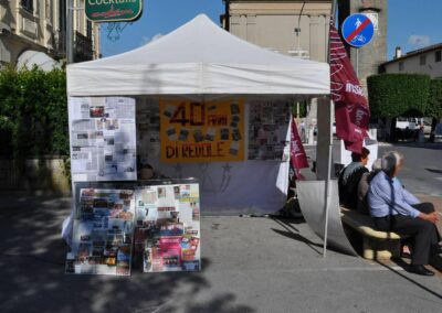 Lammari insieme