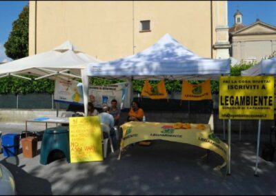 Lammari insieme